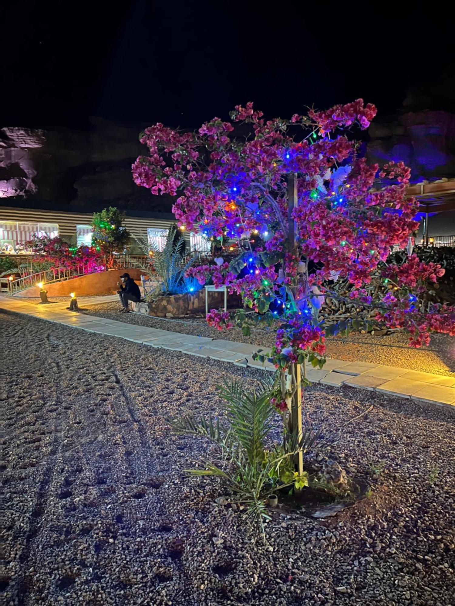 Magic Rum Hussen Wadi Rum Ngoại thất bức ảnh